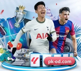pk-od.com的故事